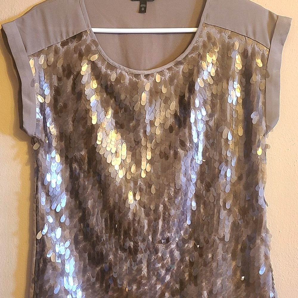 Express Dressy Top